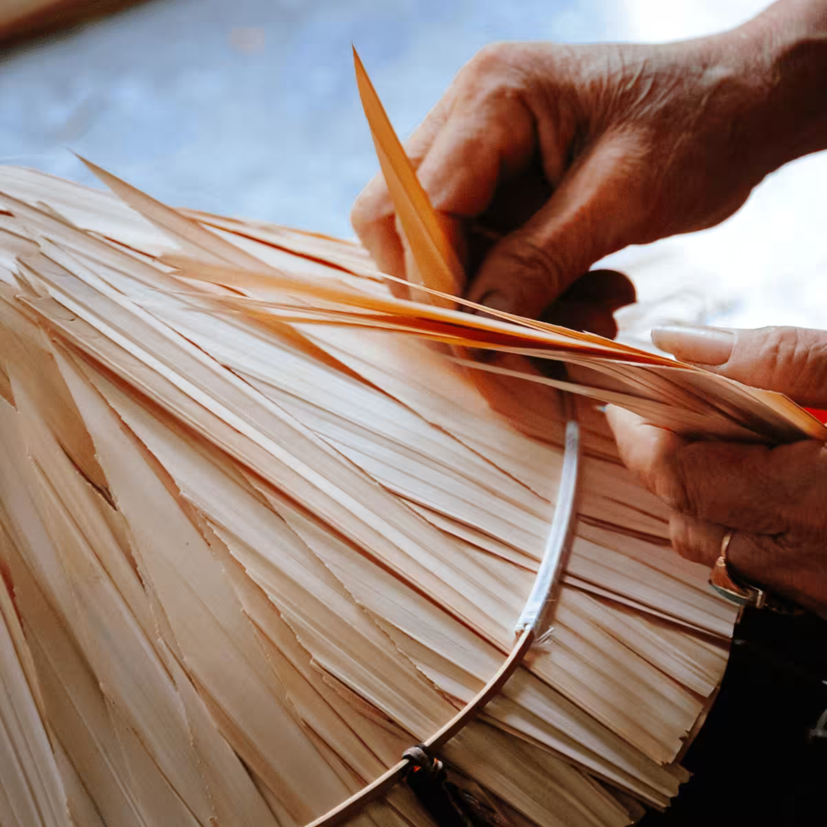 Palm bark Visual